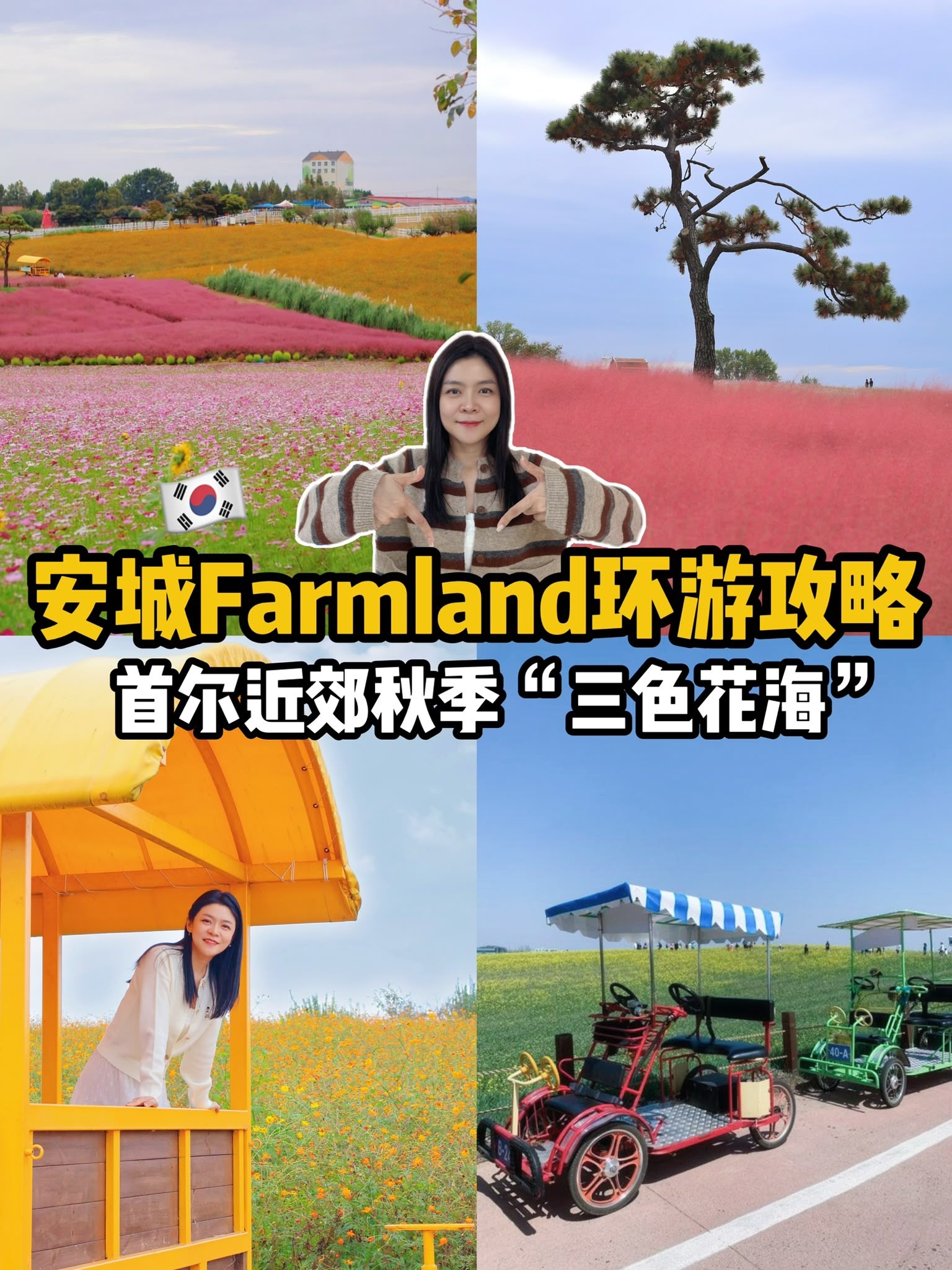 安城 Farmland 环游攻略与秋季三色花海封面
