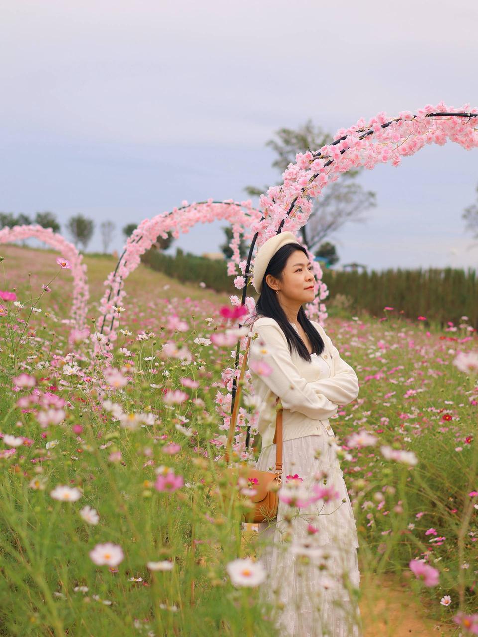 安城 Farm Land 秋日花海实拍