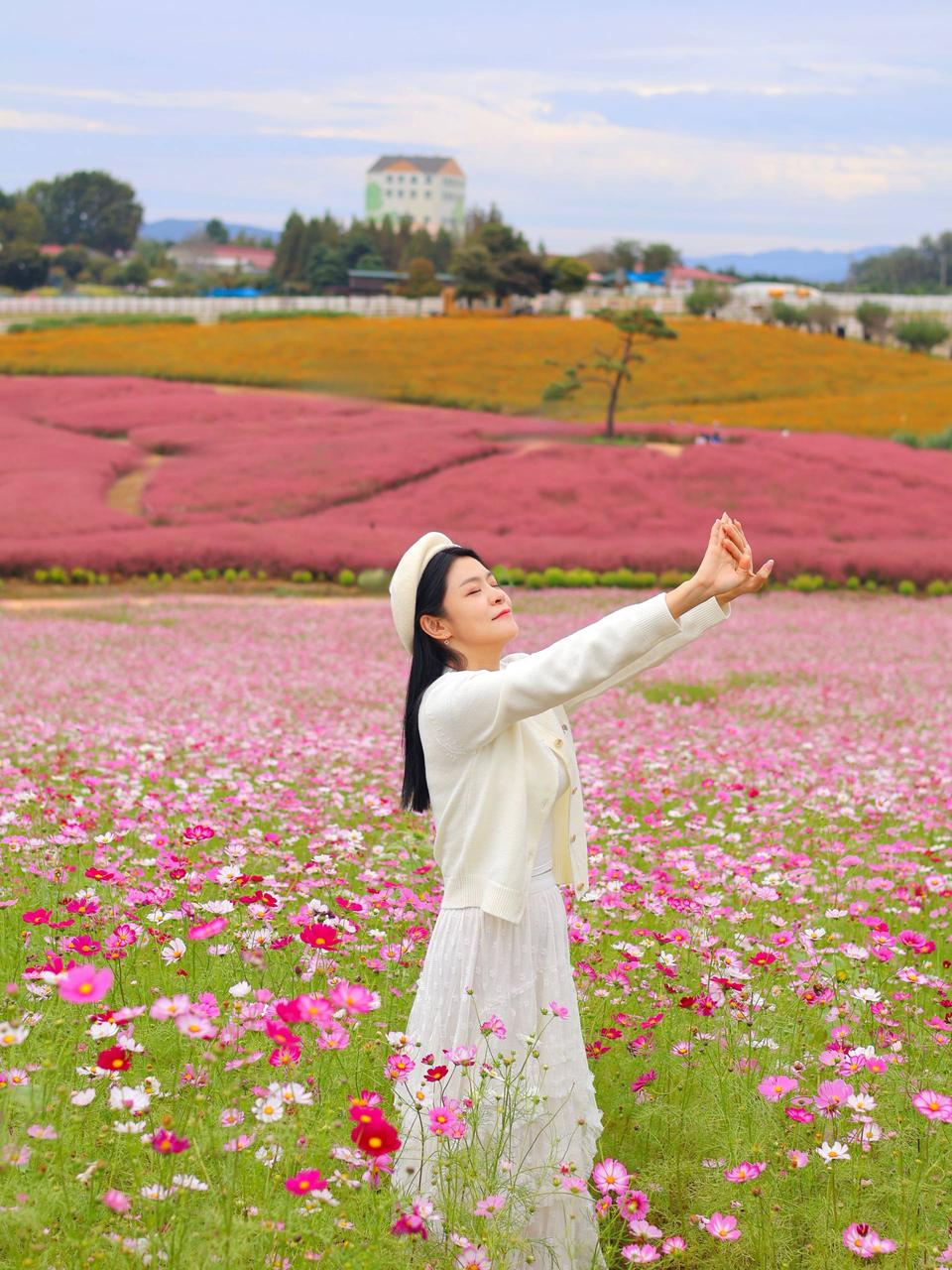 安城 Farm Land 秋日花海实拍