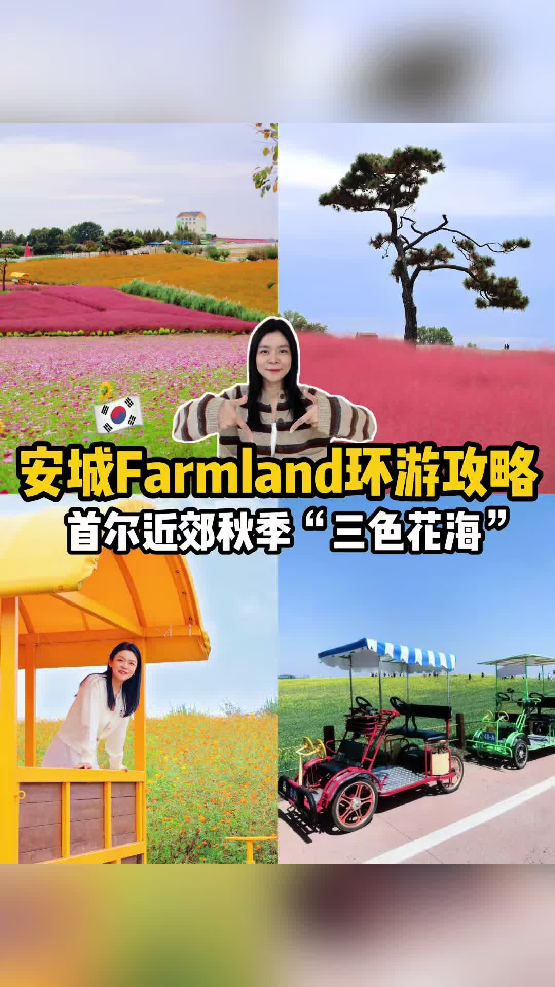 安城 Farm Land 秋季三色花海 TikTok Vlog 封面