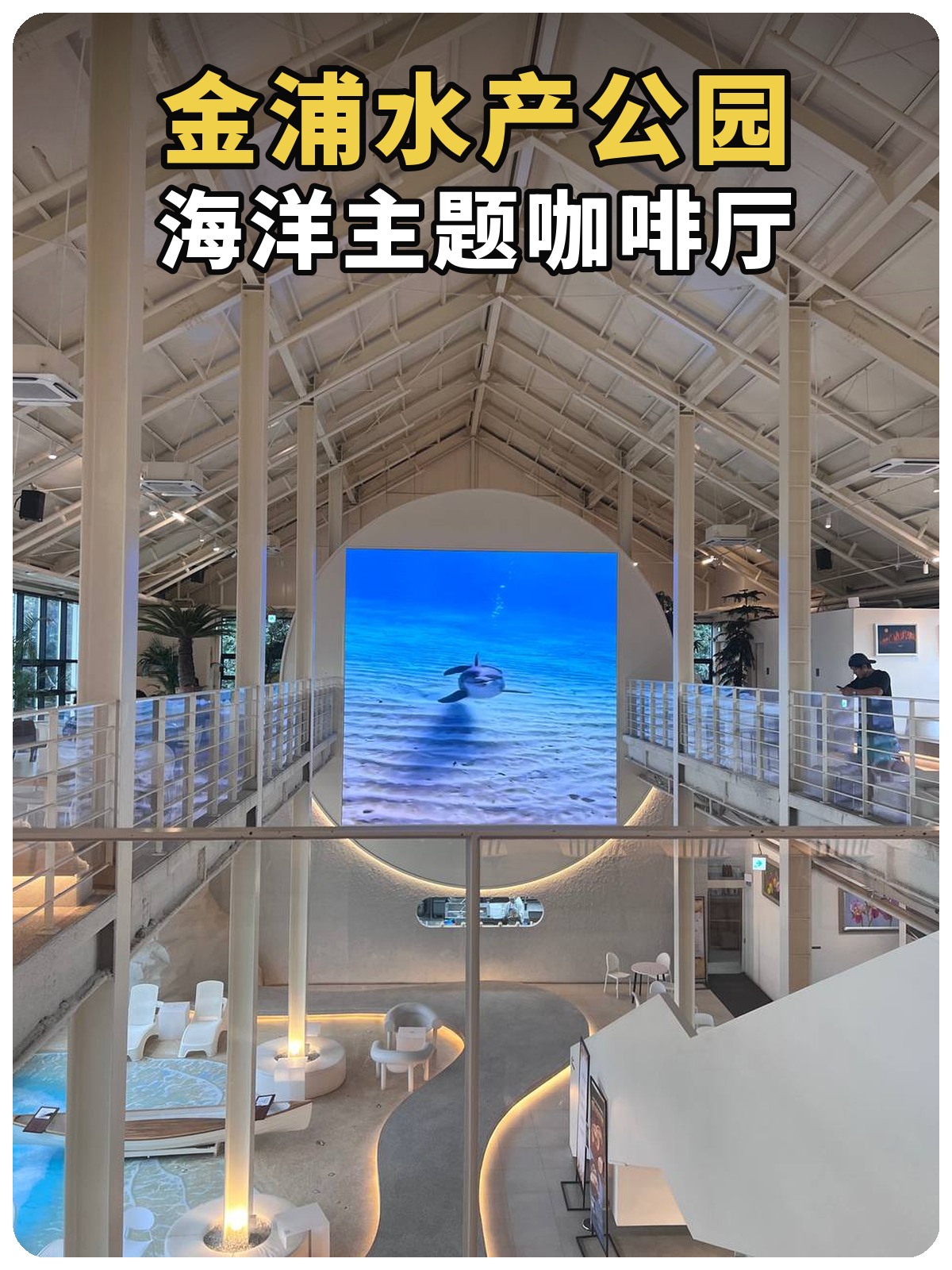金浦水产公园，海洋主题咖啡厅，黄白黑描边封面