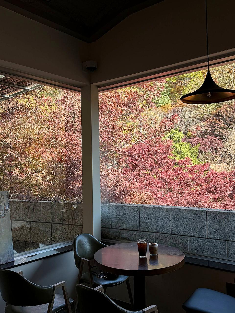 Cafe Relax 转角窗边座位与山坡秋色