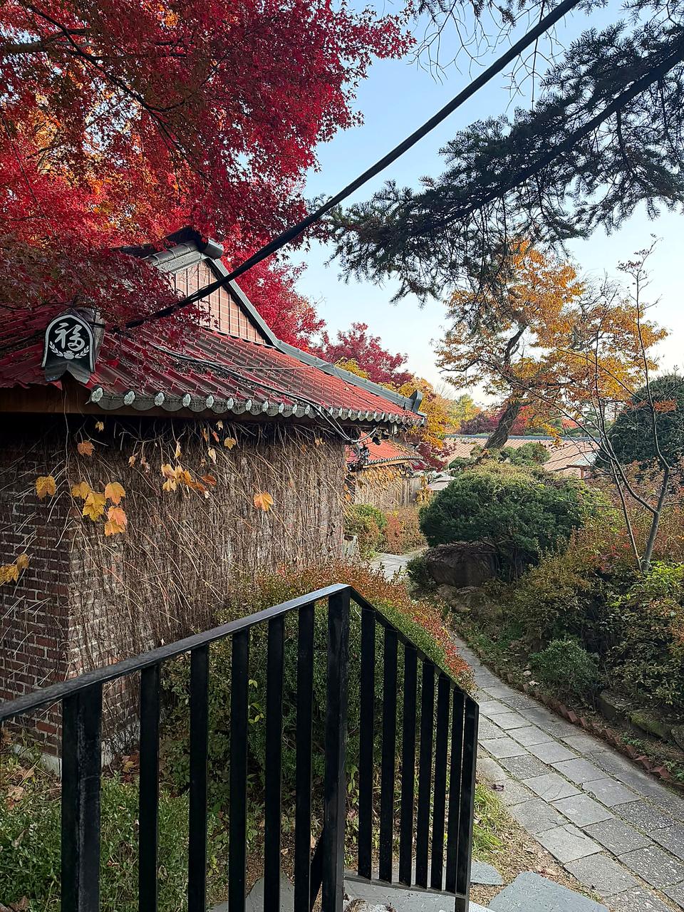 红叶下的瓦屋顶与庭院小径
