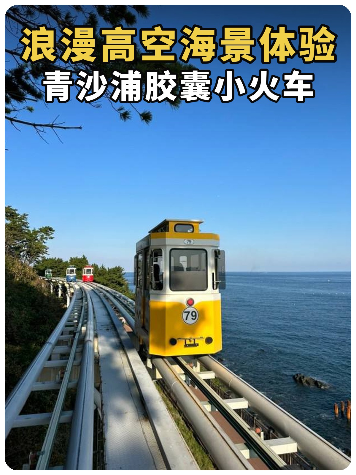 浪漫高空海景体验 青沙浦胶囊小火车封面