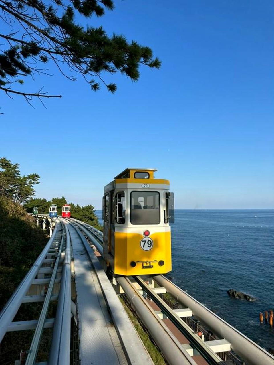 青沙浦胶囊小火车：现场照片2