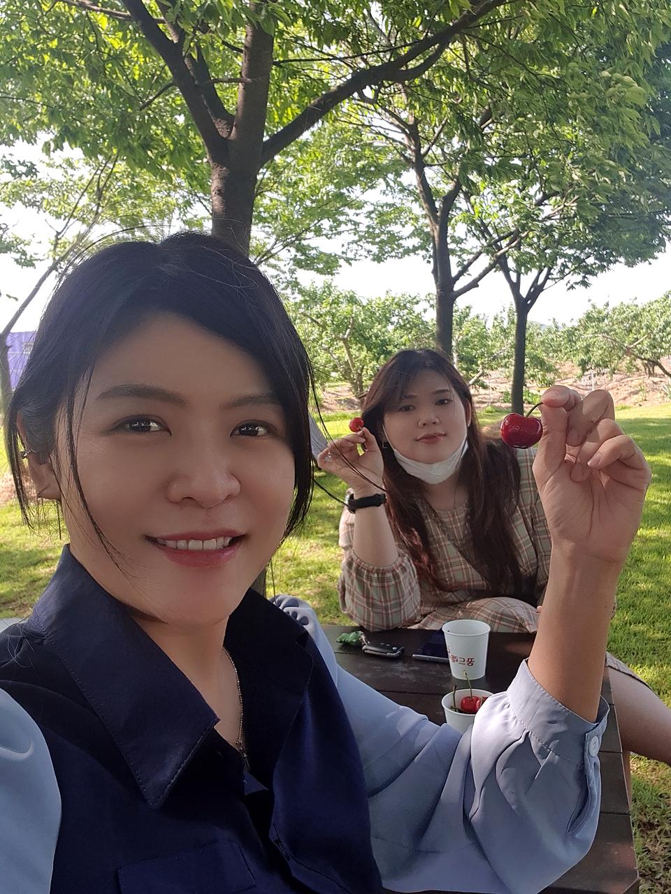 坡州樱桃农场采摘体验 【仅限5月中-6月中】