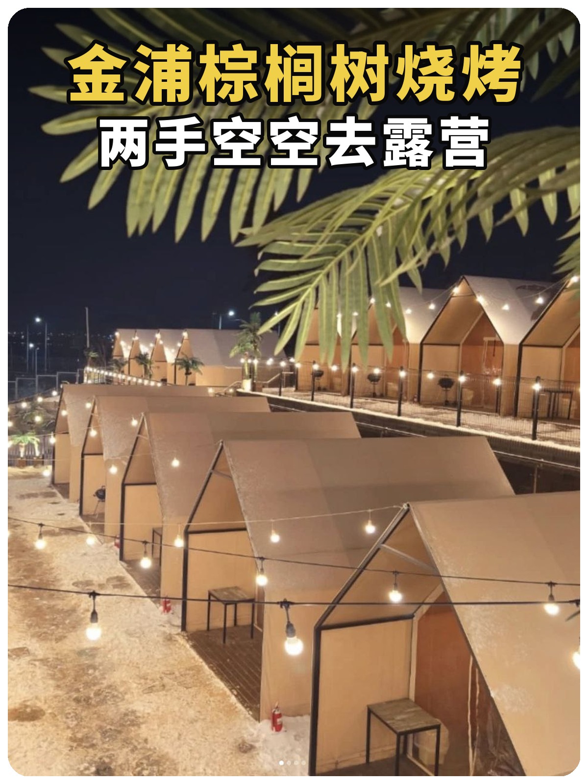 金浦棕榈树露营烧烤：两手空空去露营封面