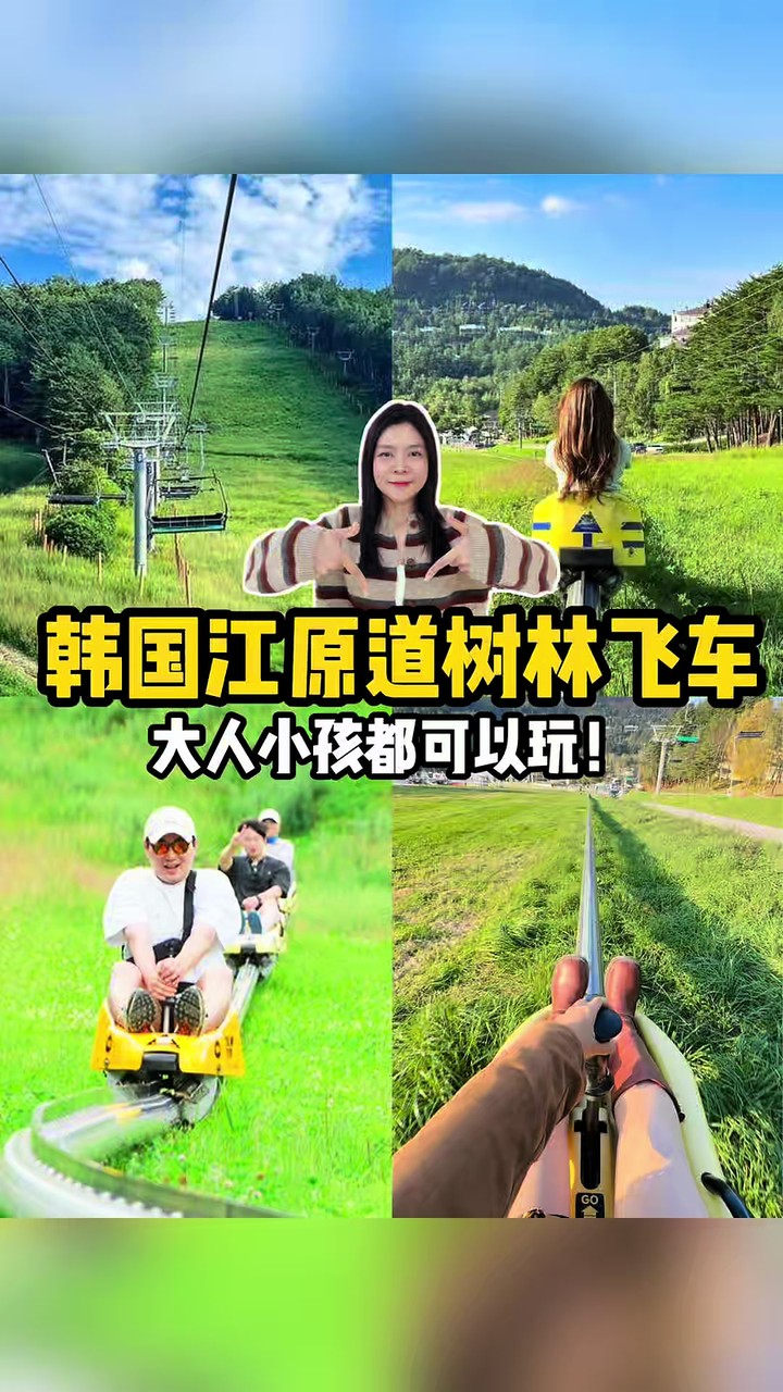 江原道森林滑车体验 TikTok 视频封面