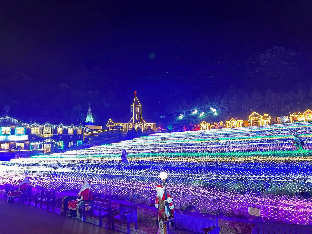 Herb Island 夜间彩虹灯光花田