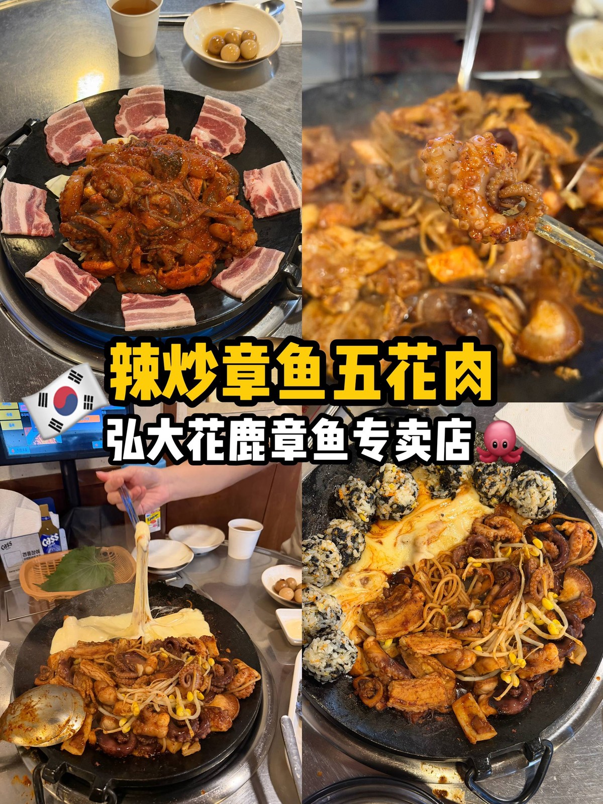 辣炒章鱼五花肉，弘大花鹿章鱼专卖店