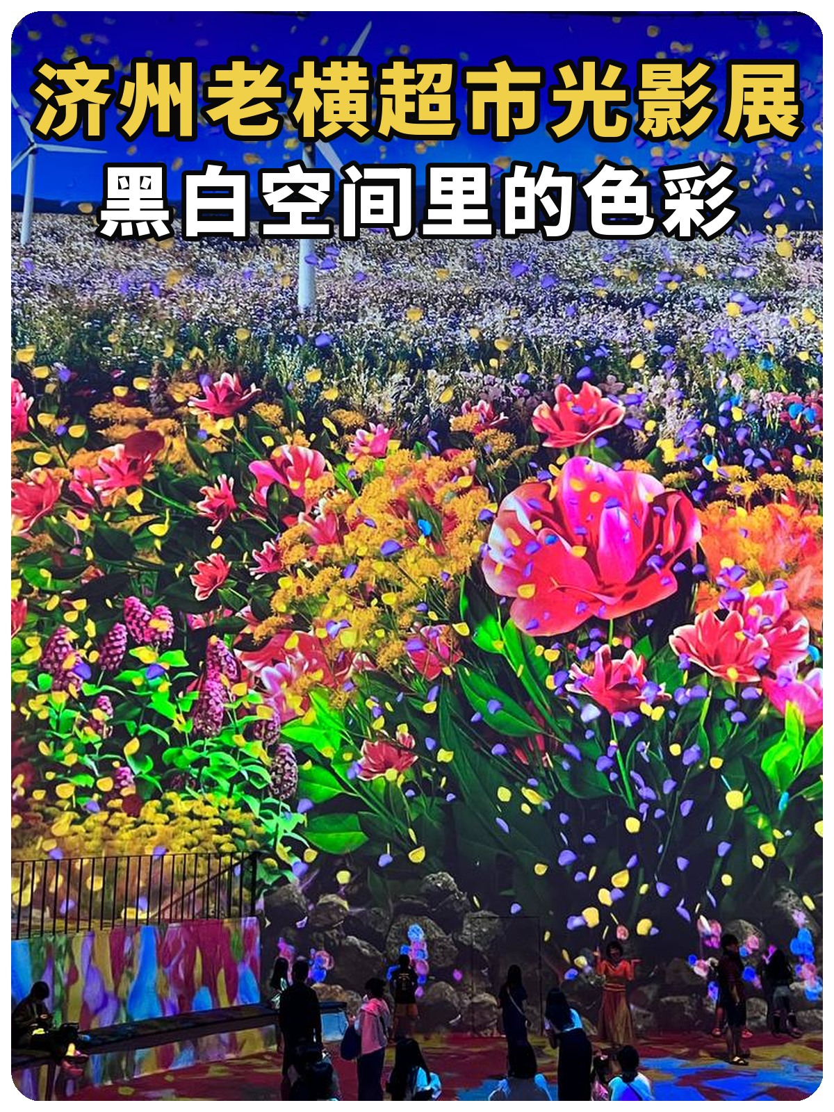 济州老横超市光影展封面