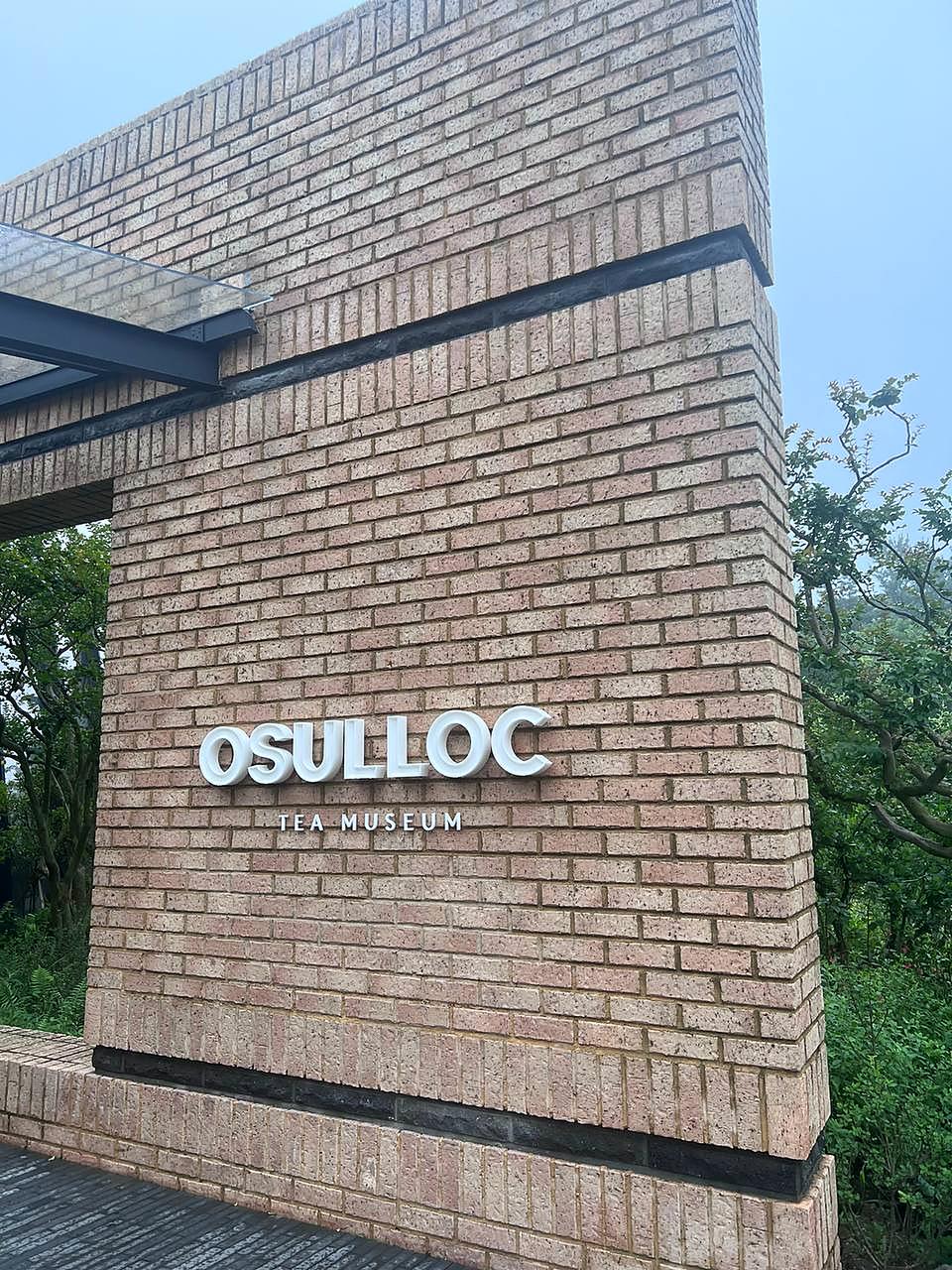 Osulloc绿茶园照片1