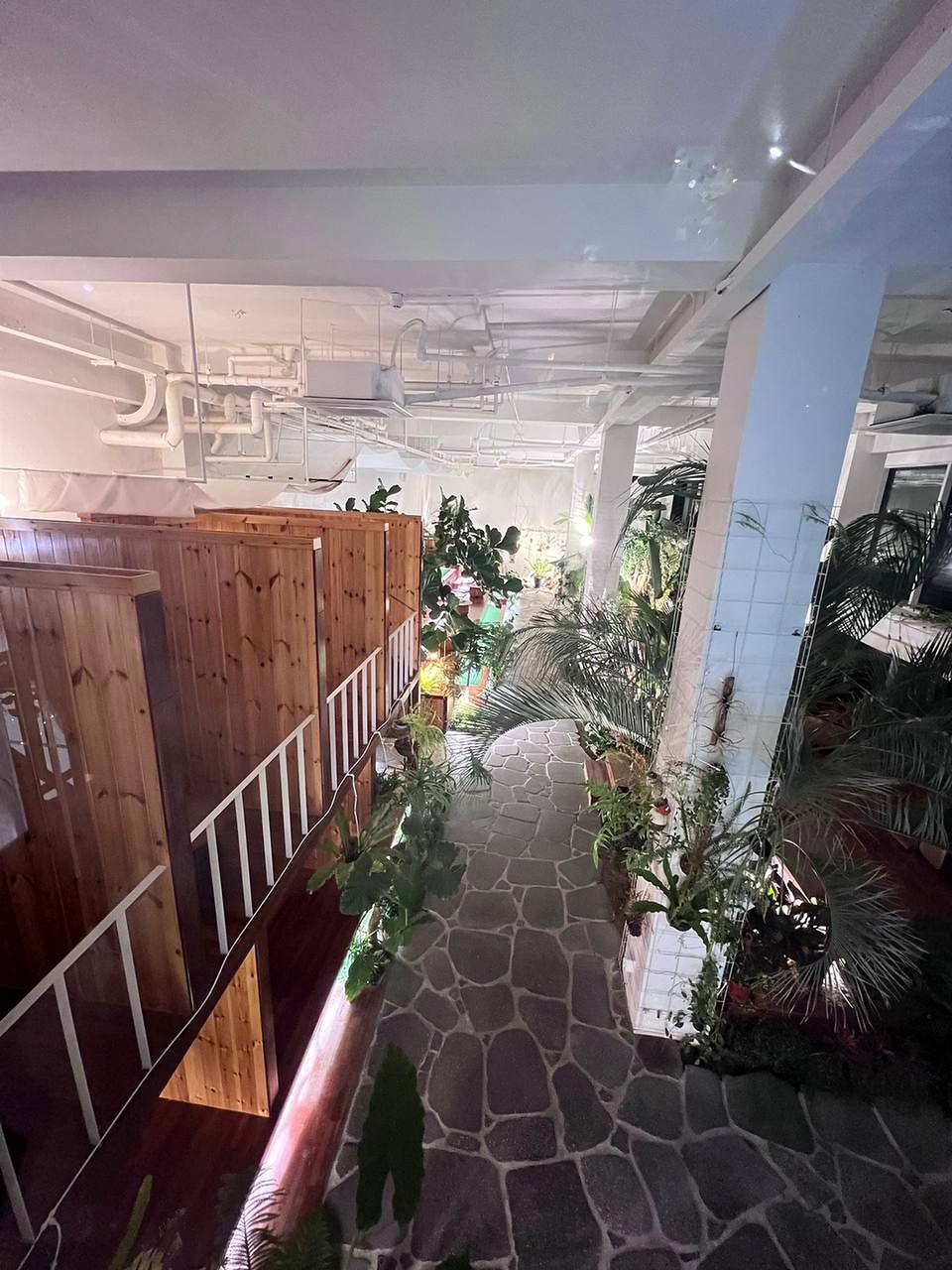 Raonsoom 植物空间里的石板小径