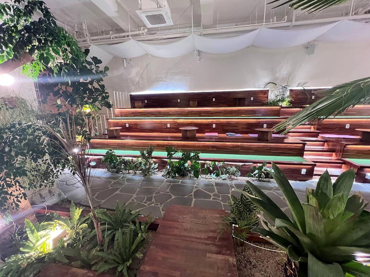 Raonsoom 植物空间与阶梯座位