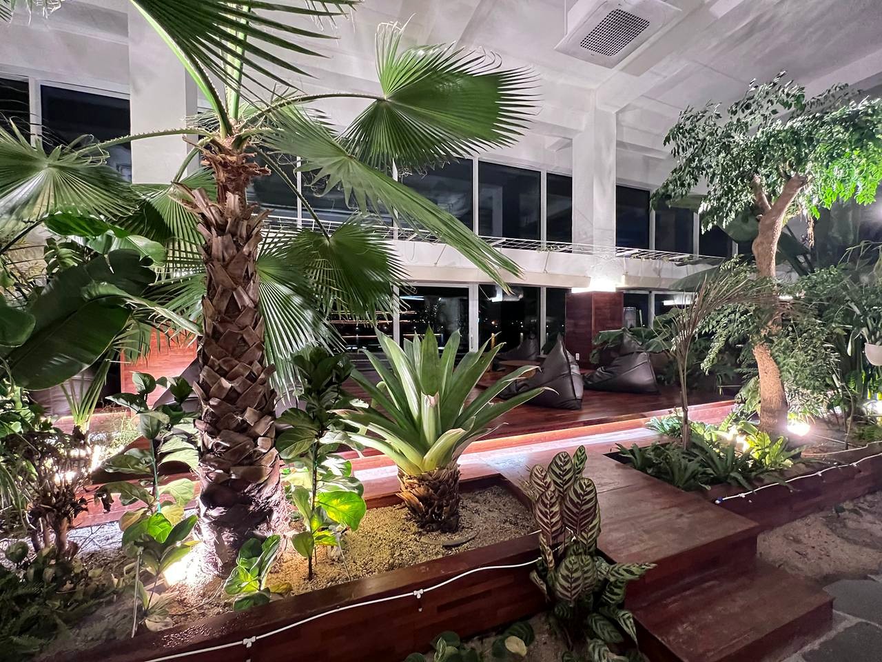 Raonsoom 植物与窗边空间