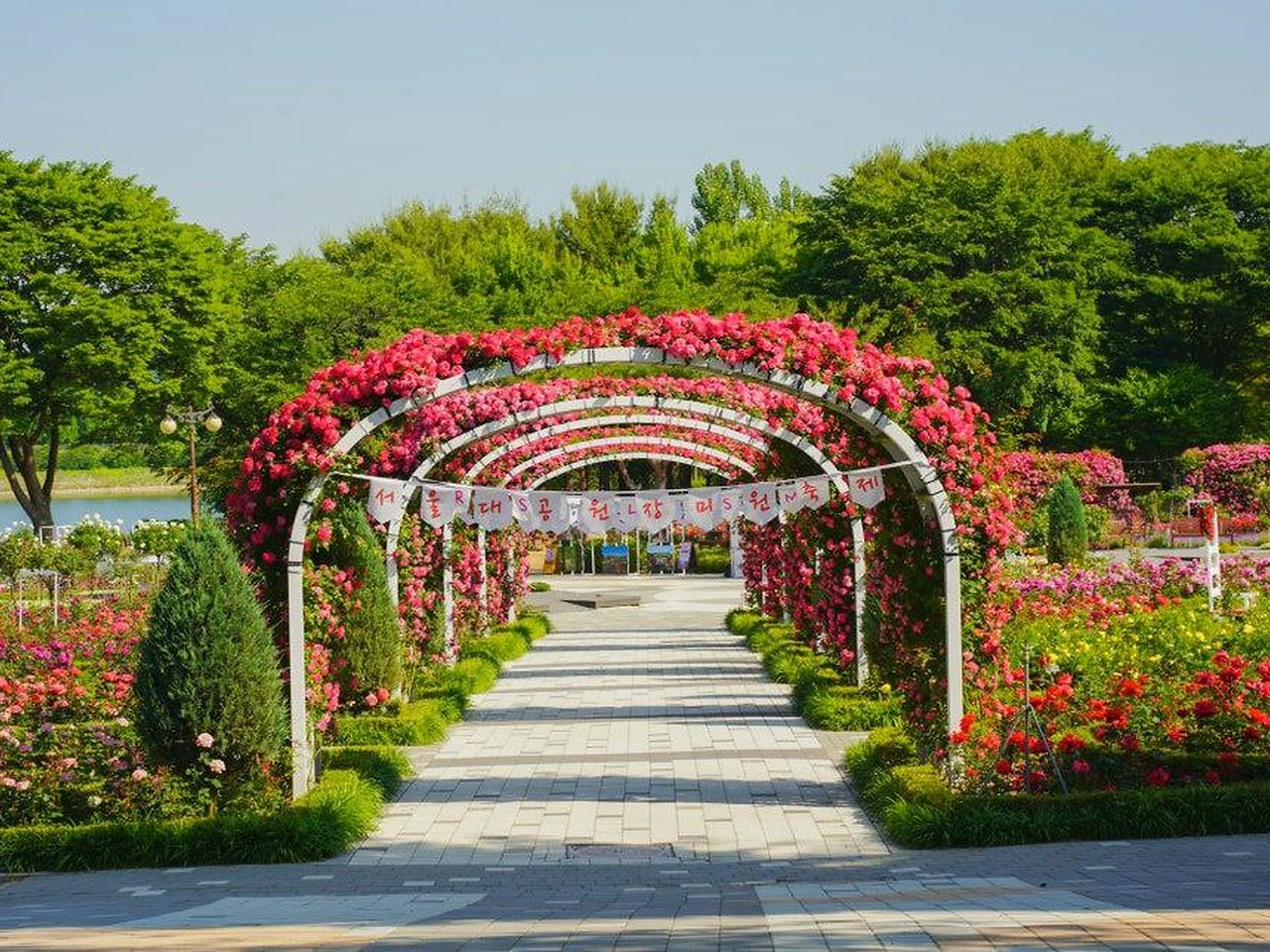 首尔大公园 玫瑰拱门步道
