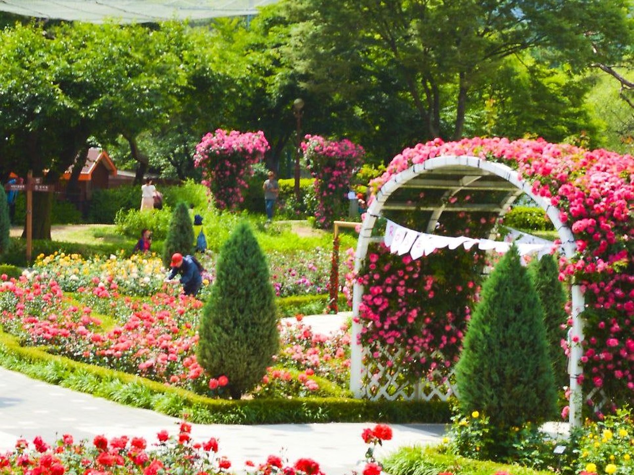 首尔大公园 花园与湖景