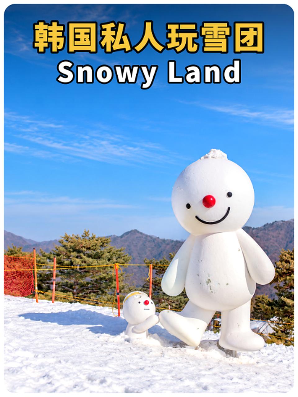 Snowy Land TikTok 视频封面