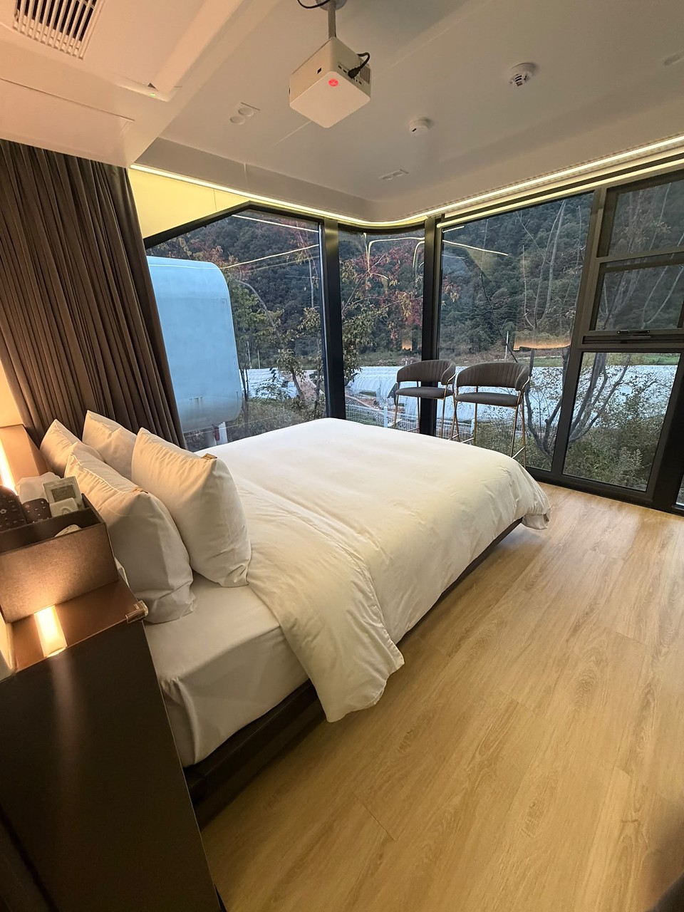 房车卧室与森林景观