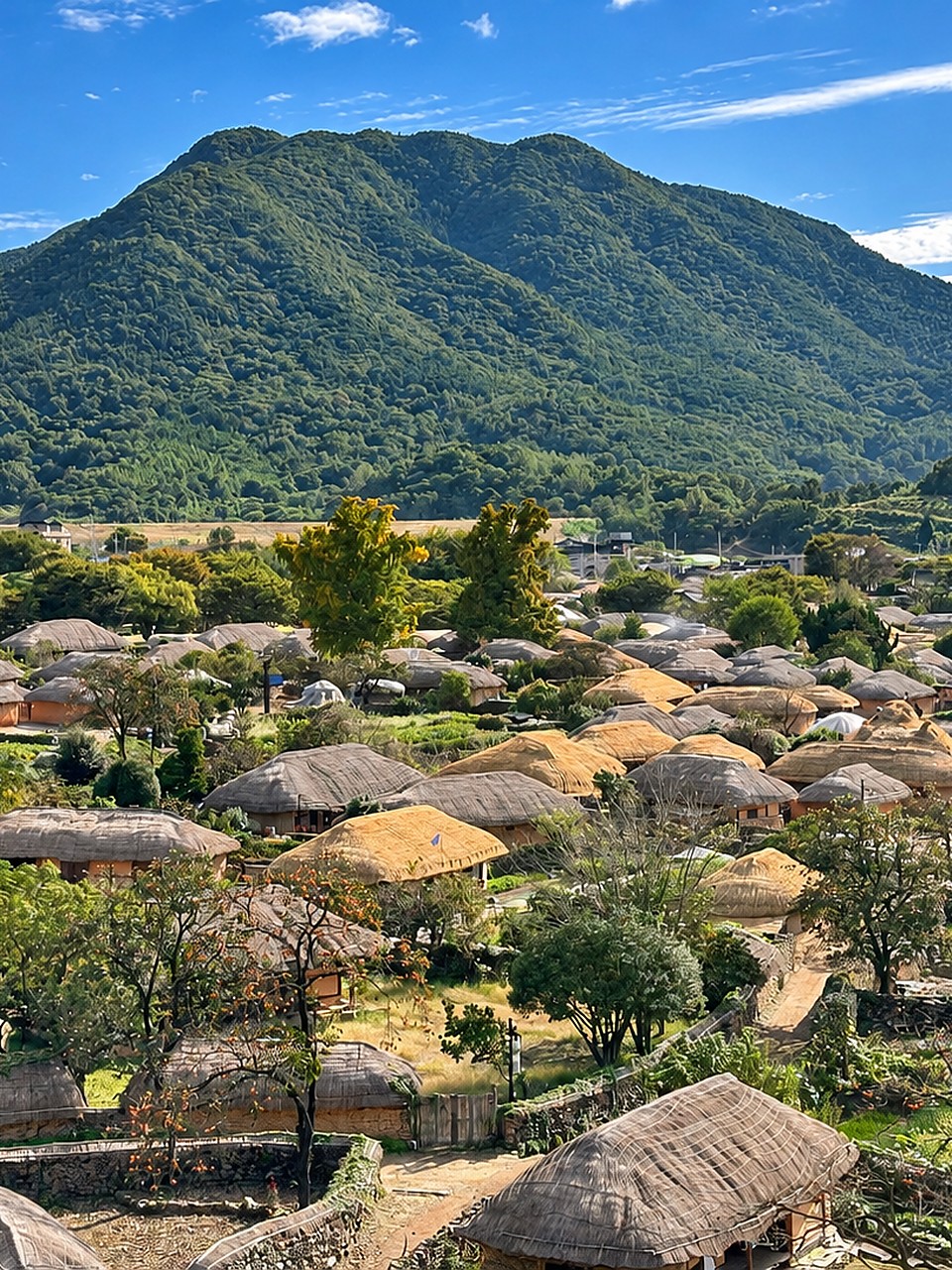 乐安邑城茅草屋村落与山景(AI增强副本)