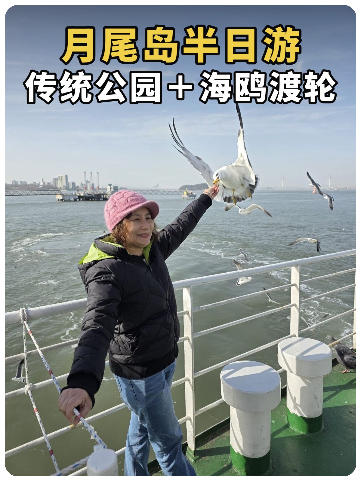 月尾岛半日游，传统公园与海鸥渡轮，黄白黑描边封面