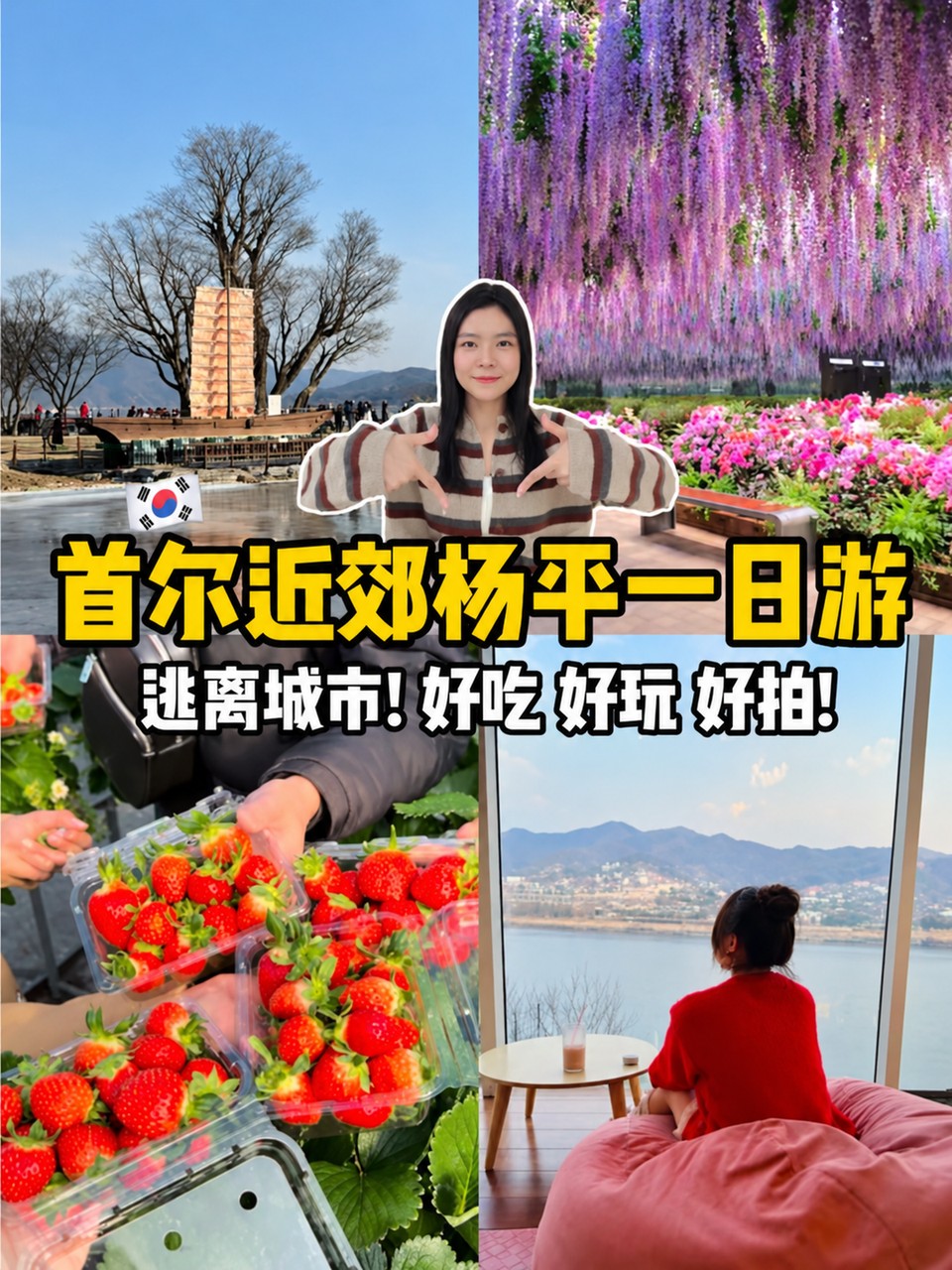 杨平轻松精致一日游封面