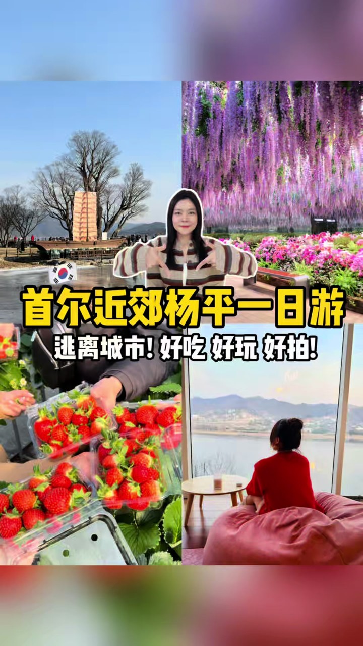 杨平轻松精致一日游 TikTok 视频封面