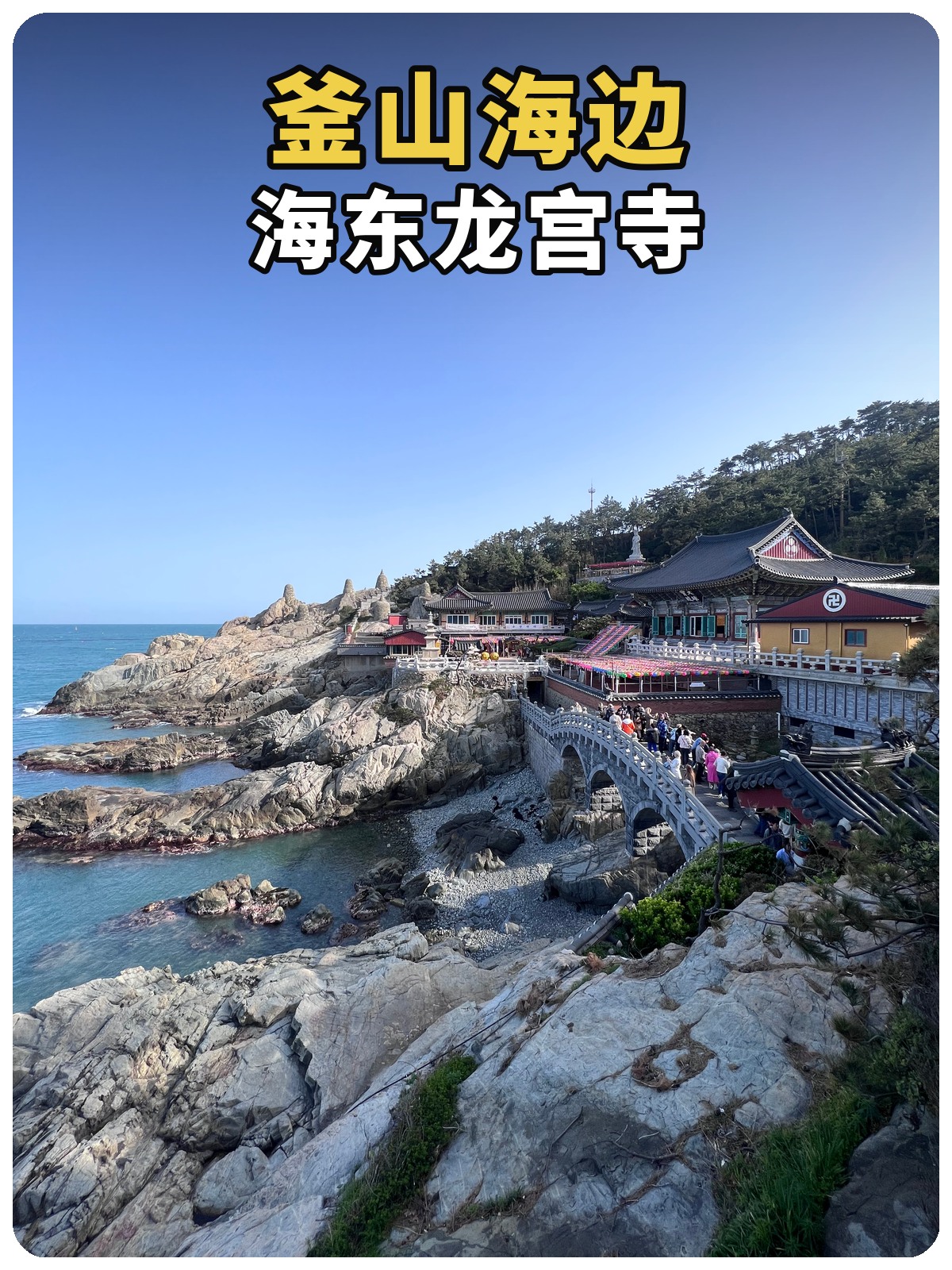 海东龙宫寺黄白标题封面